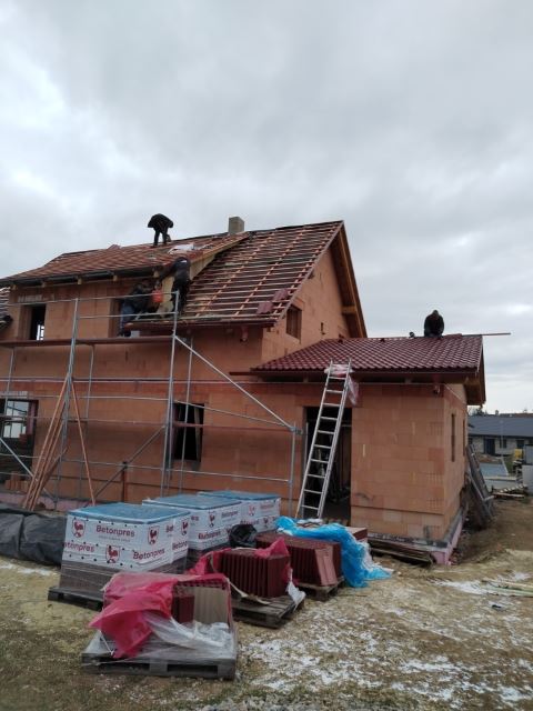 IMG 20241121 152833 Male